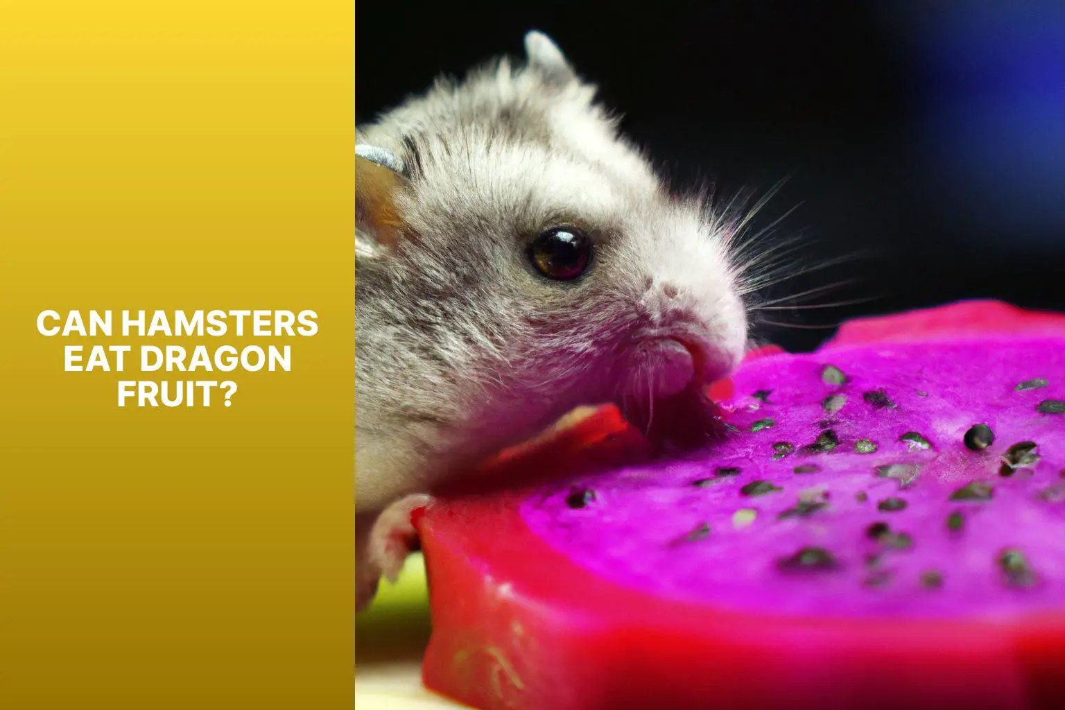 Can Hamsters Eat Dragon Fruit? - Can Hamsters Eat Dragon Fruit? 